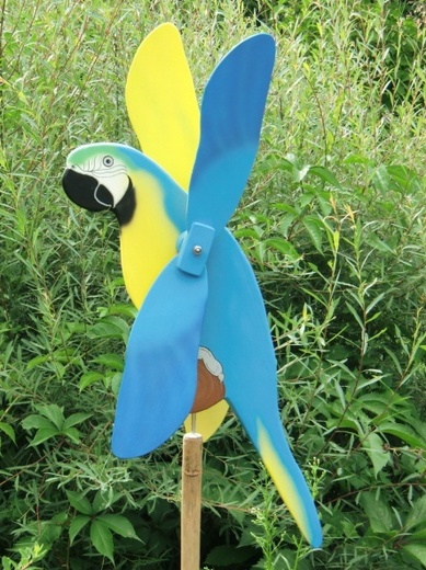 ara ararauna