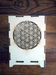 lampa-kvet-3.jpg